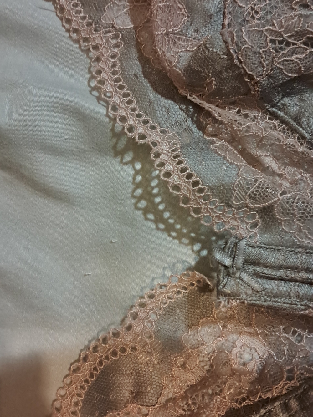 Panache "Clara" Lace Underwire Bra in Blush Pink And Dusty Rose - Picture 3 of 8